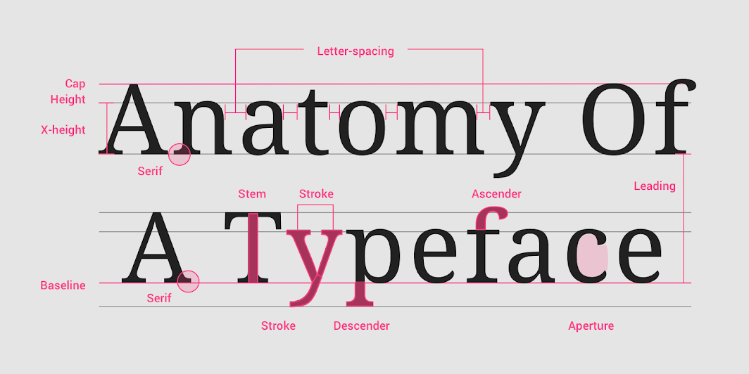 Typeface anatomy.